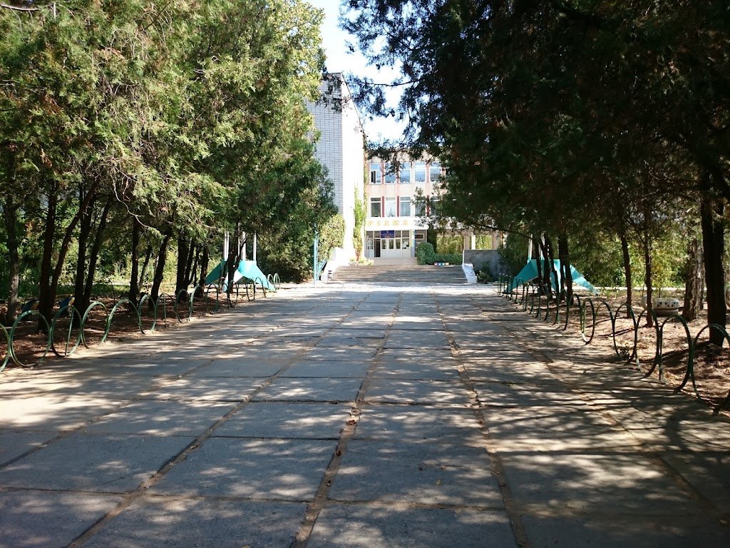 Фото — Миколаївський ліцей імені Олега Ольжича